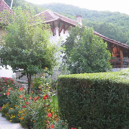 Country House Milojevic Lopatnica